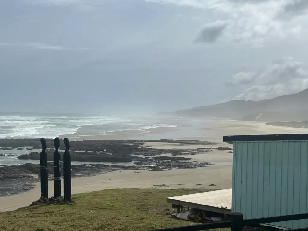 Mitimiti, Terra & Tide Private Hokianga Explorer Day Tour