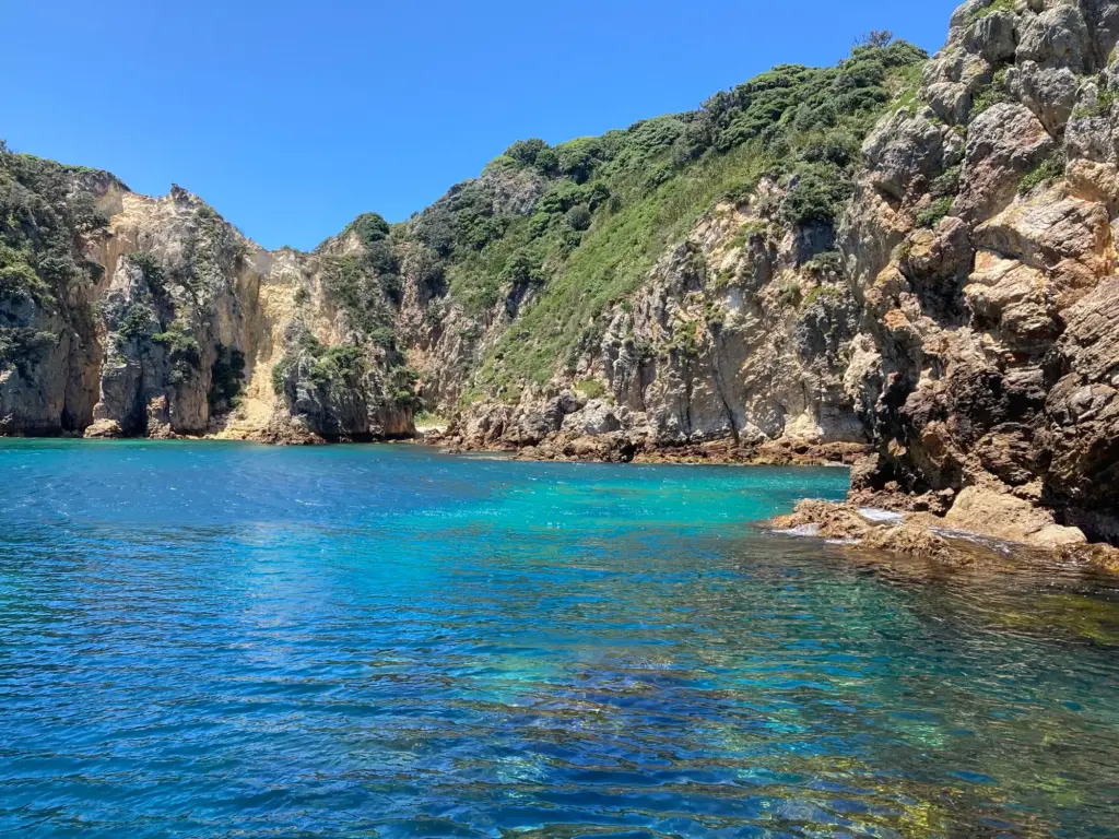 Mokohinaus, Terra & Tide Exclusive Sailing Charter