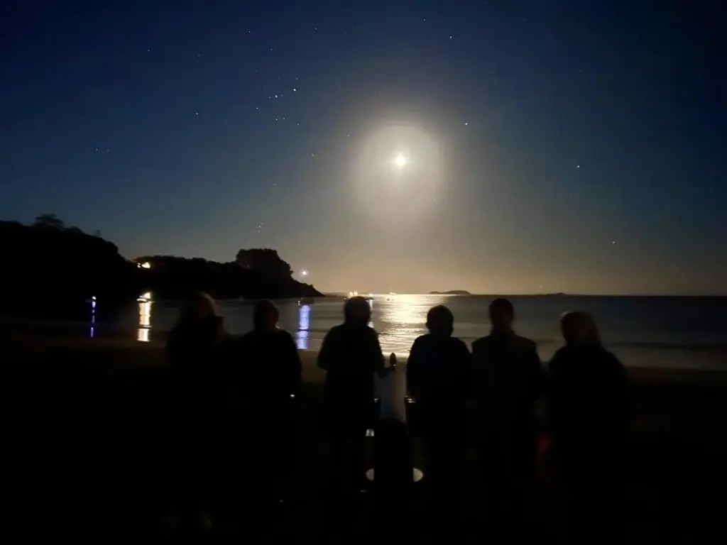 NSSW Shillouette figures at Palm Beach North view, Terra & Tide Private Stargazing Tour