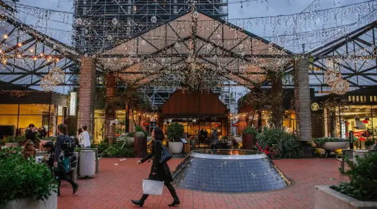 People in Central Auckland New Zealand