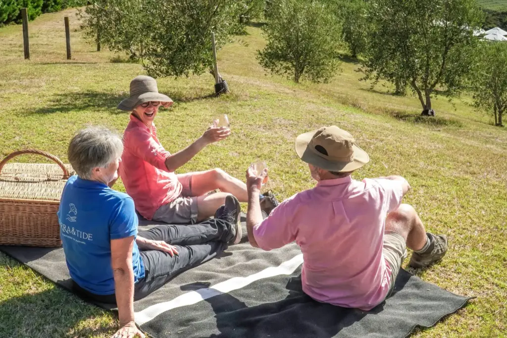Private walking group enjoying a picnic above Mudbrick Vineyard, Waiheke Island