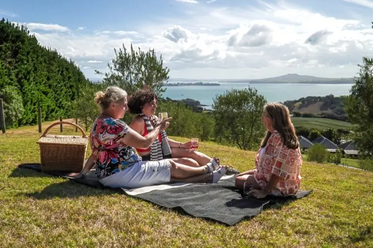 Picnic above Mudbrick on the Waiheke Island vineyards & bush walking tour with Terra & Tide