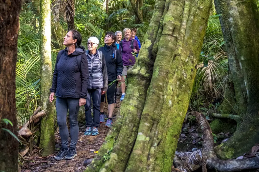 Possible Bush and bea h, Terra & Tide Group Eco Adventure