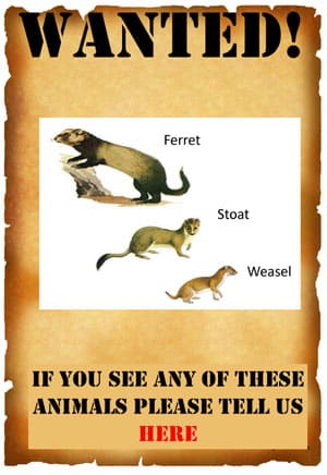 Predator Free Waiheke poster