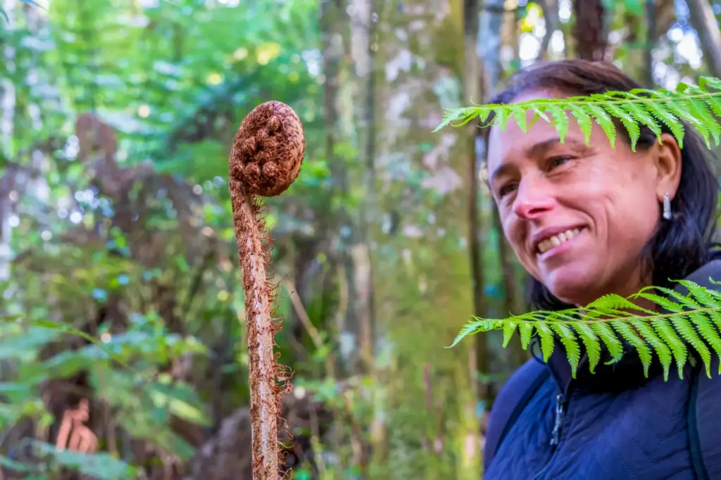 Terra & Tide Private Forest Bathing Walk