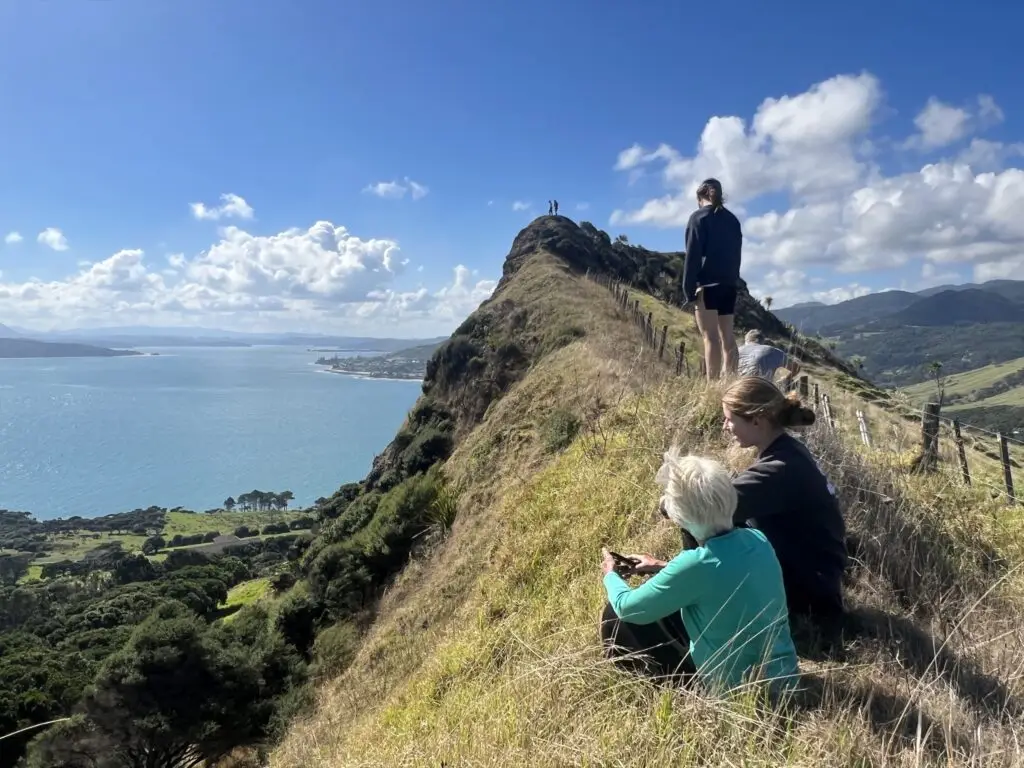Private Hokianga day tour with Terra & Tide: the Hokianga Explorer