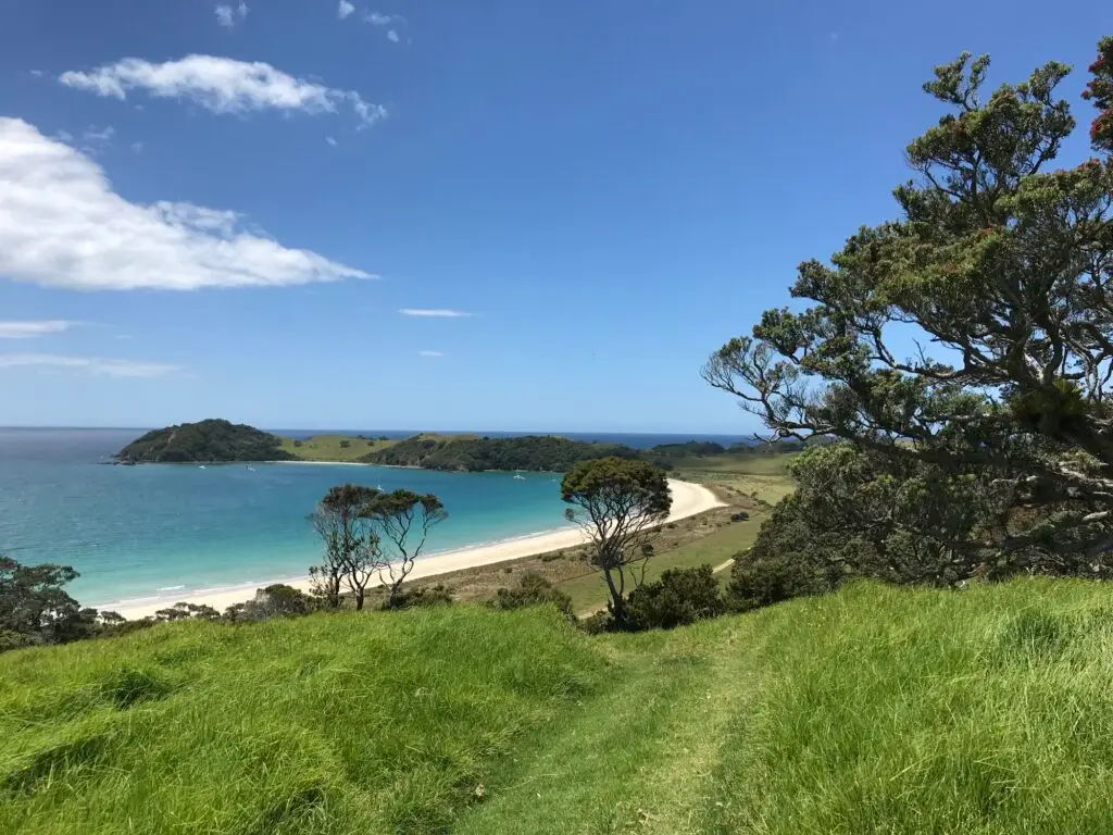 Terra & Tide Private Tutukaka Heli Hike