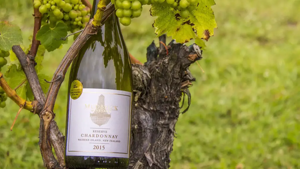 Terra & Tide Private Waiheke Signature Food & Wine Tour