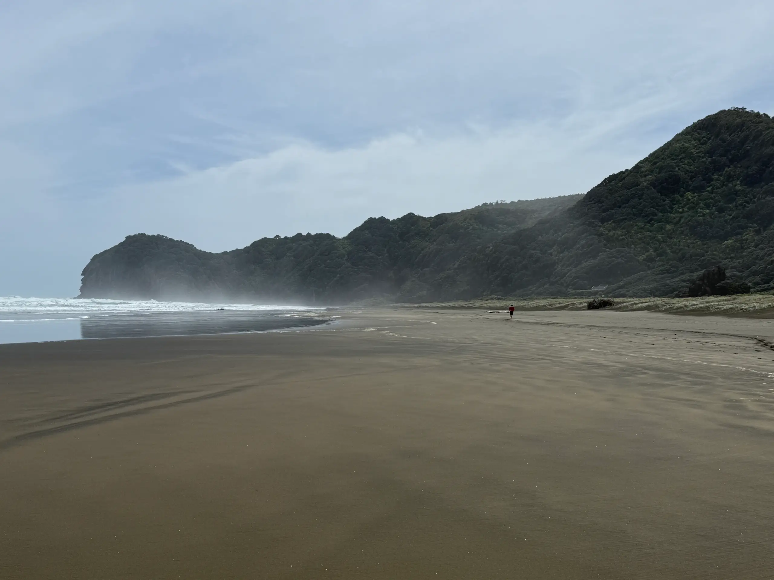 Waitākere Ranges on a private Auckland walking tour with Terra & Tide