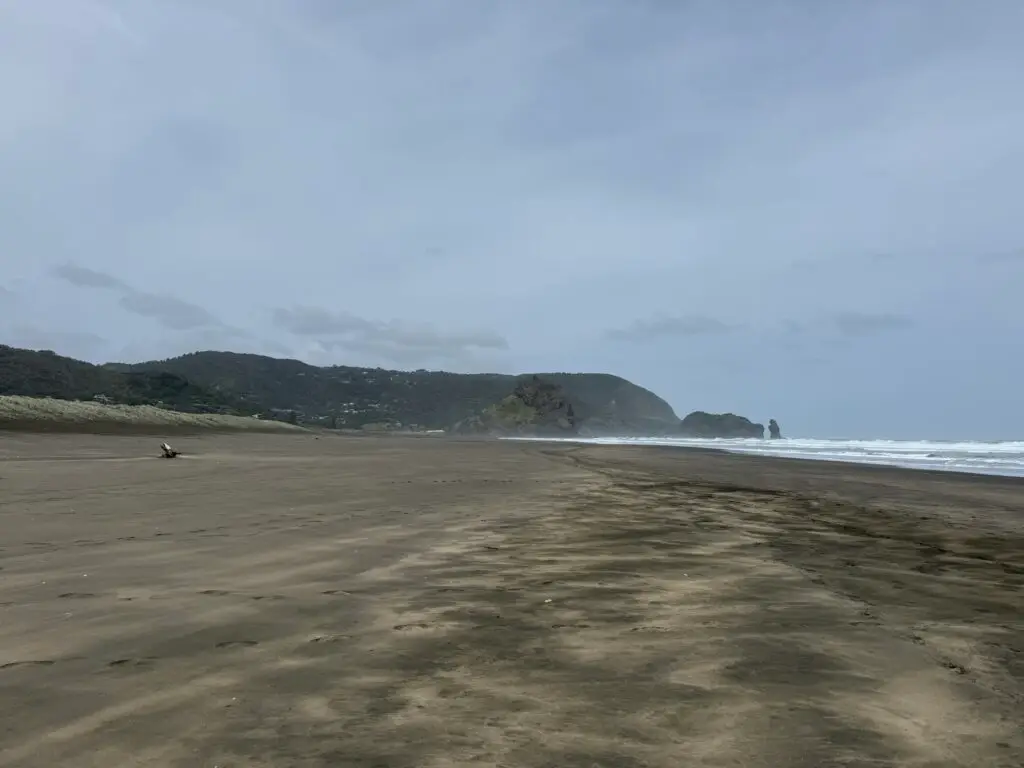 Terra & Tide Private Waitākere Explorer