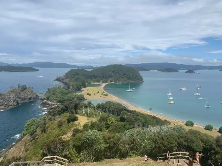 Roberton Island, Terra & Tide Northland