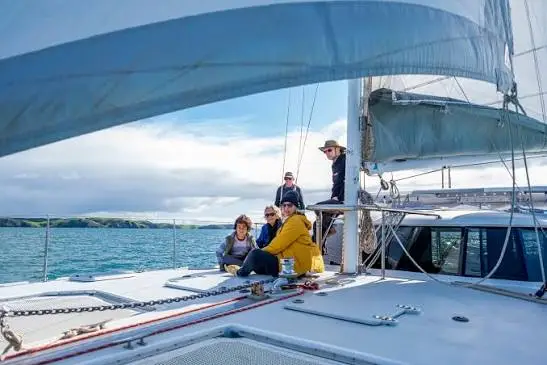 Sailing catamaran in the Hauraki Gulf