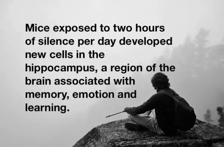 Silence is good for your brain