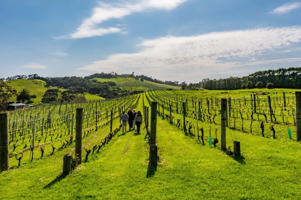 T&T 2024 Aug, Terra & Tide Private Waiheke Terra and Tide Signature Tour