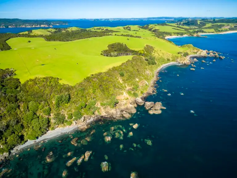 Tāwharanui on the private Matakana Explorer day tour with Terra & Tide