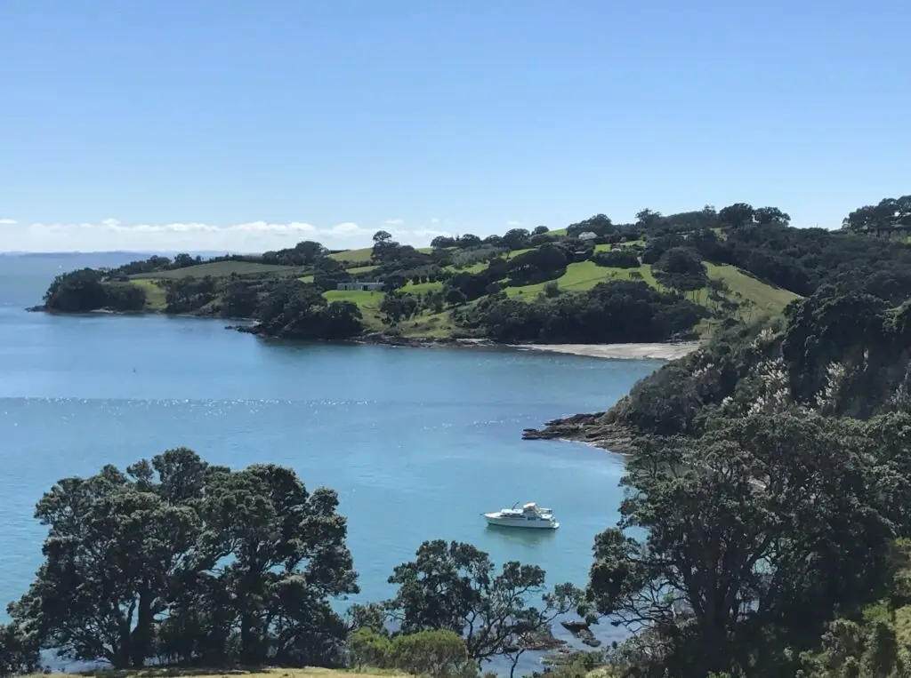 Terra & Tide Te Ara Hura Walking Tour