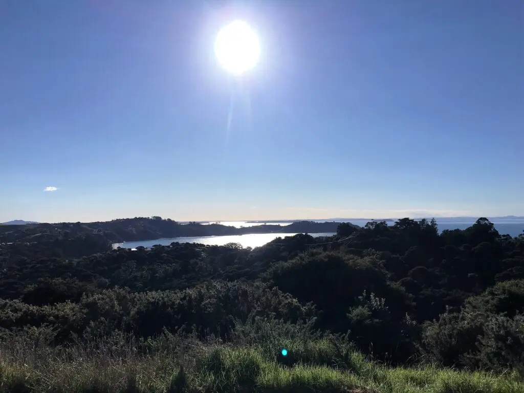 Terra & Tide Te Ara Hura Walking Tour