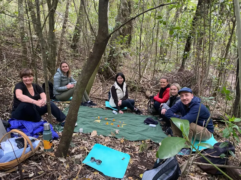 Tea Ceremony, Terra & Tide Private Forest Bathing Walk
