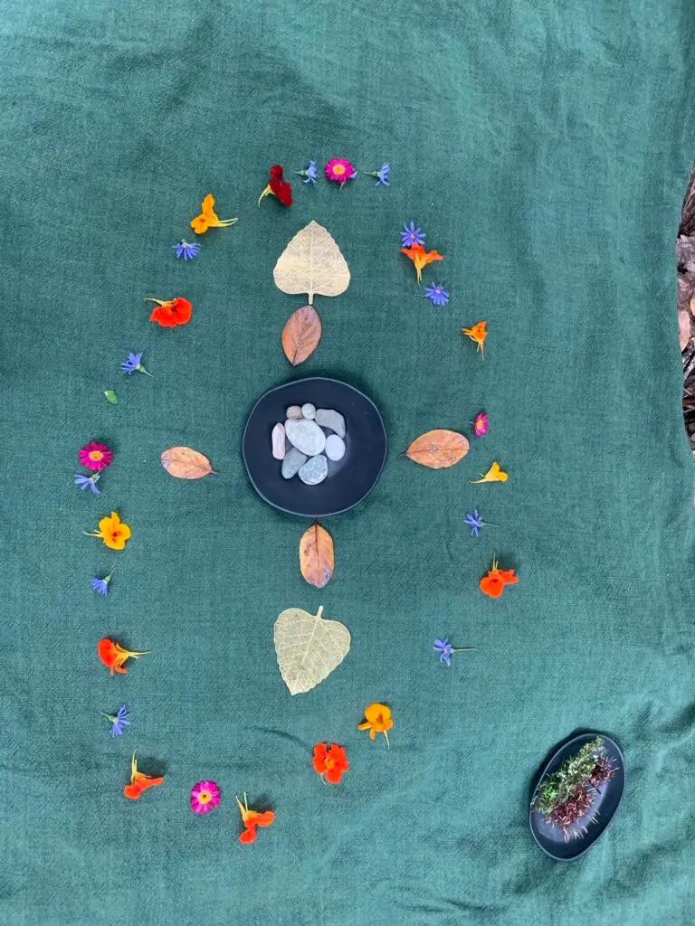 Tea ceremony setting, Terra & Tide Wellbeing Workshop – Forest Bathing