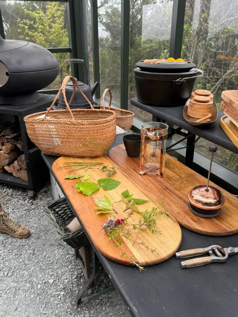 Velscov tea experience, Terra & Tide Private Auckland Signature Tour