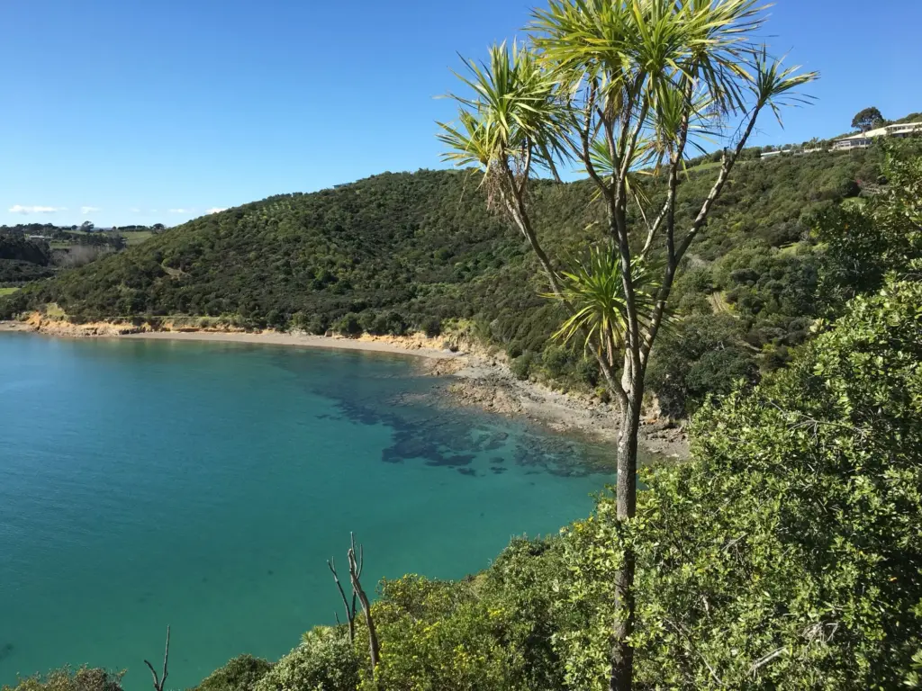 Views, Terra & Tide Private Waiheke Guided E-biking Tour