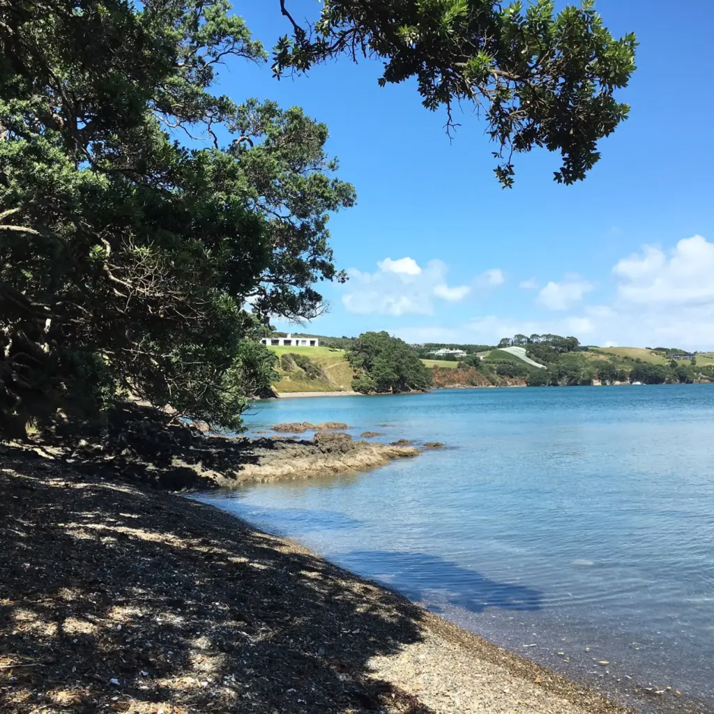 Coastal view from a Waiheke Island walking track