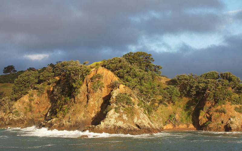 Dramatic lighting makes this a memorable Waiheke shot