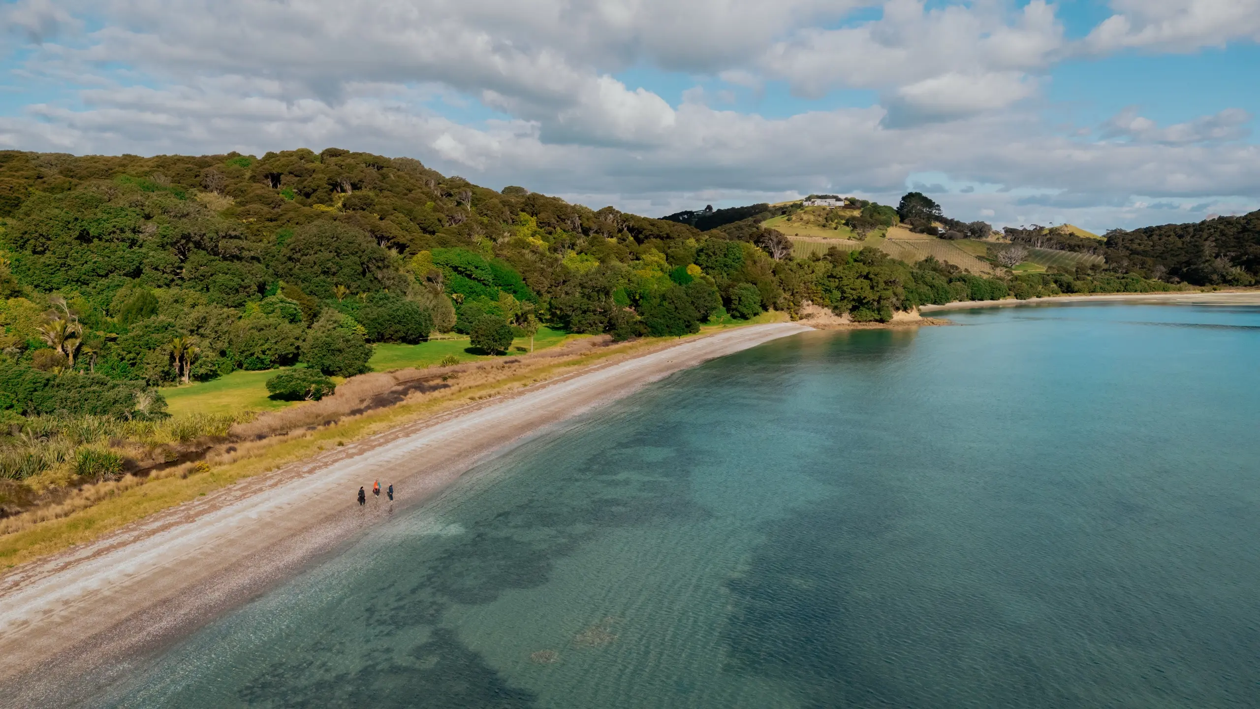 Aerial view of a long white-sand Waiheke Island beach