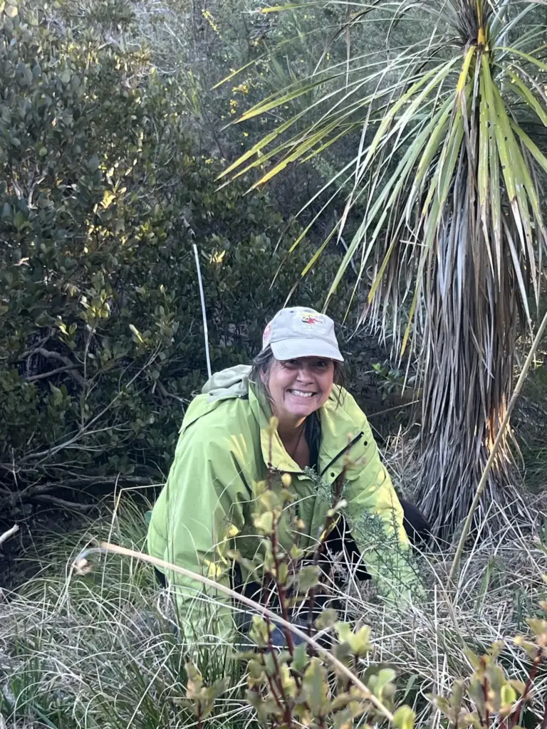Terra & Tide Waiheke Conservation and Tree Planting Tour