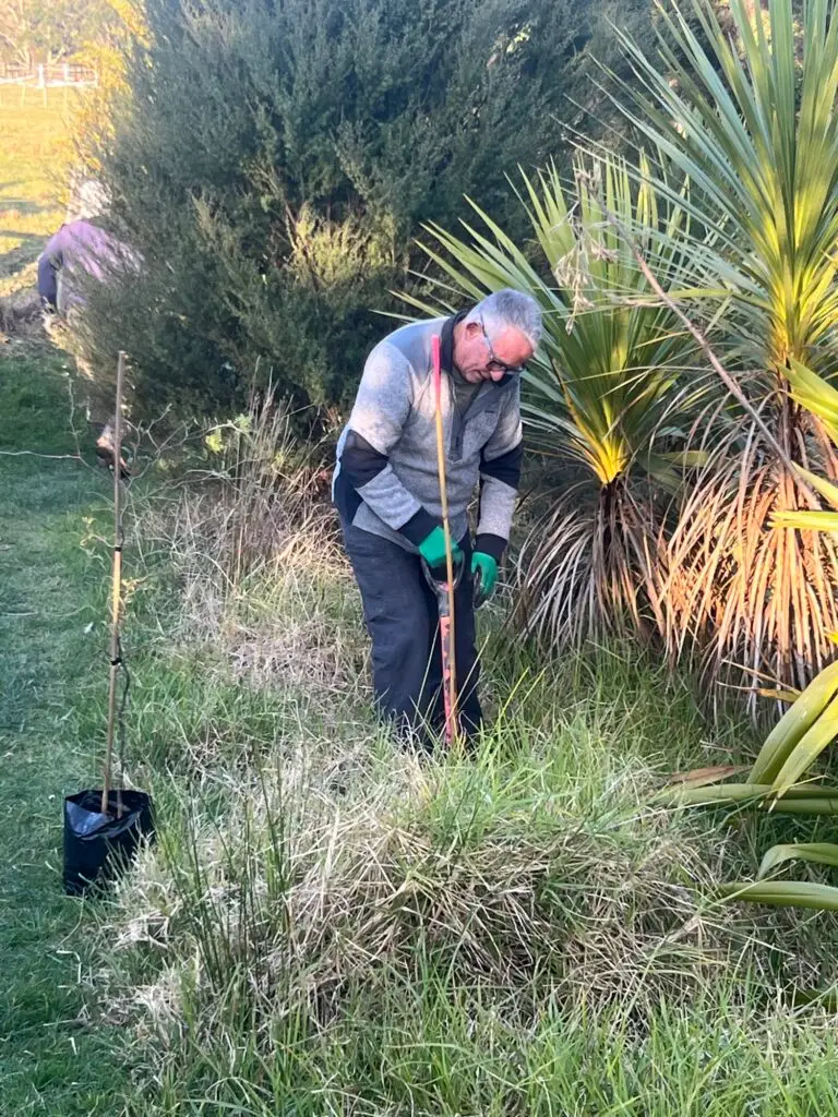 Terra & Tide Waiheke Conservation and Tree Planting Tour