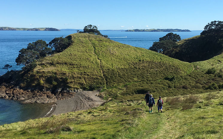 Walking on Waikehe Island with Terra & Tide