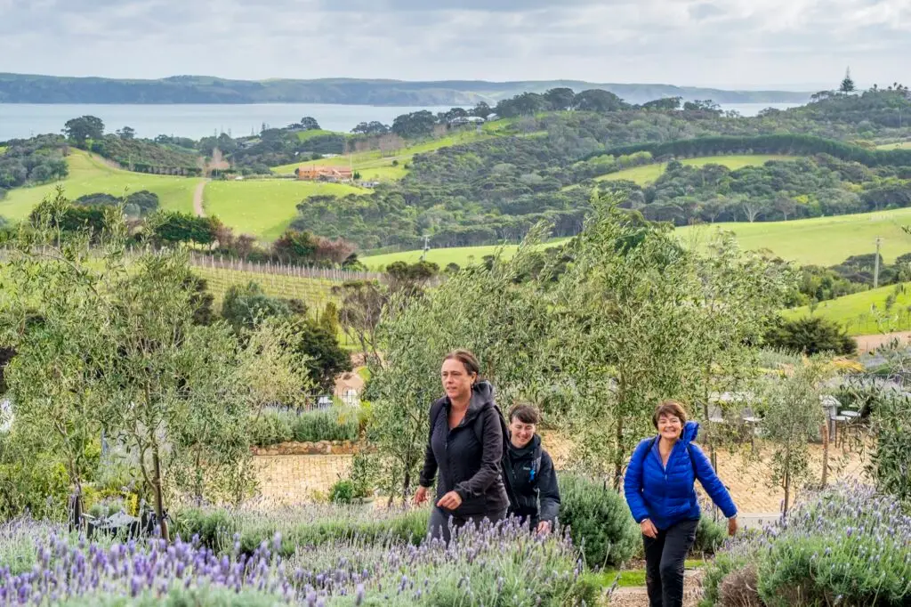 Walkers at Mudbrick, Terra & Tide Vineyards & Bush Walk
