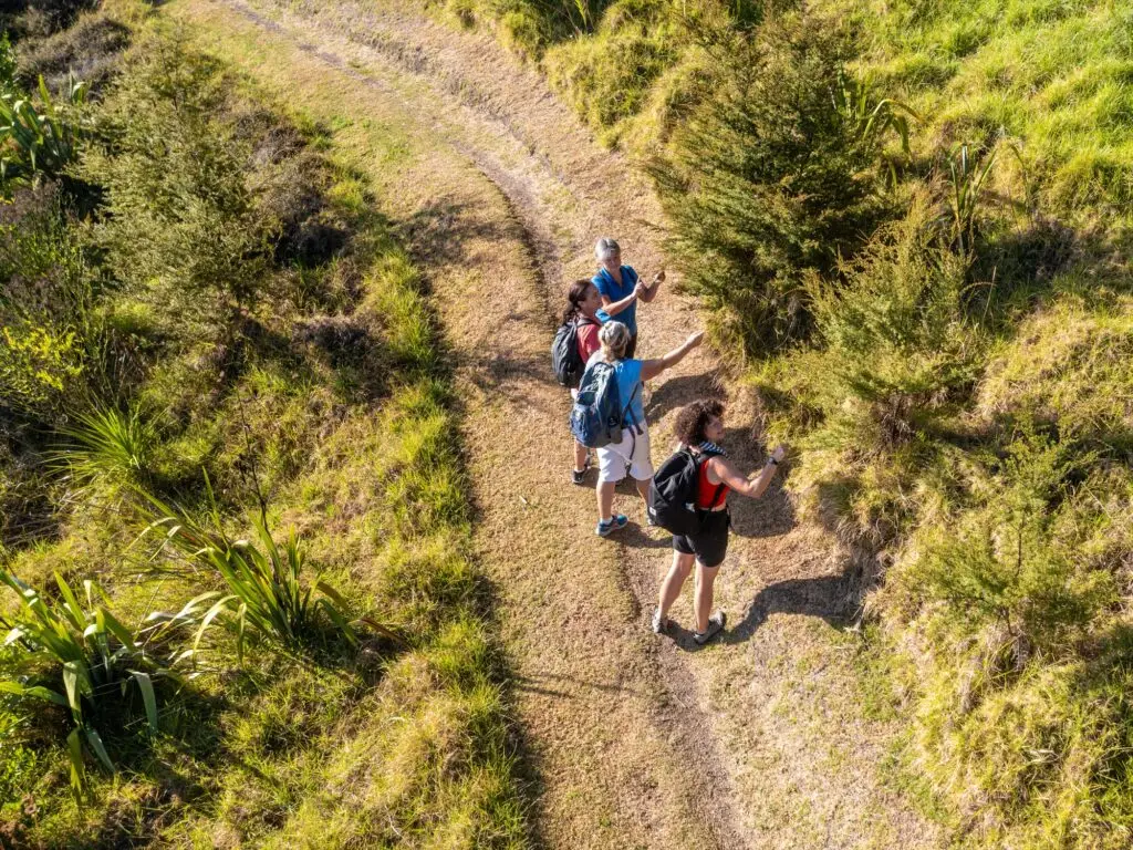 Walkers on matiatia headland trail from above, Terra & Tide Private Double Headland Walk