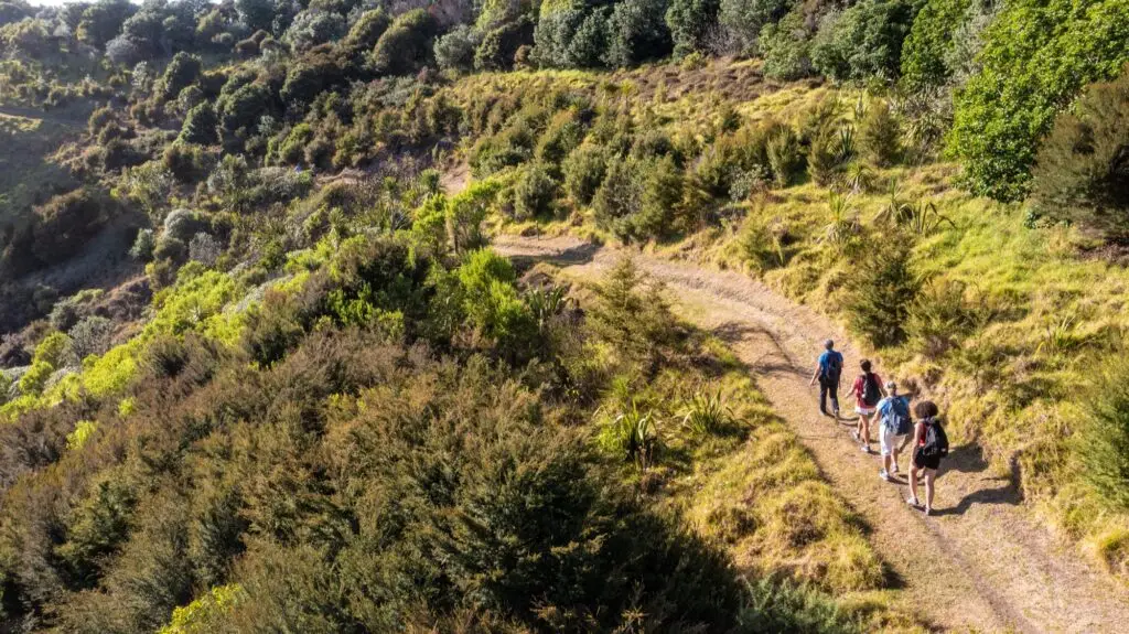 Walkers on the trail Matiatia, Terra & Tide Best of Waiheke Walking Tour