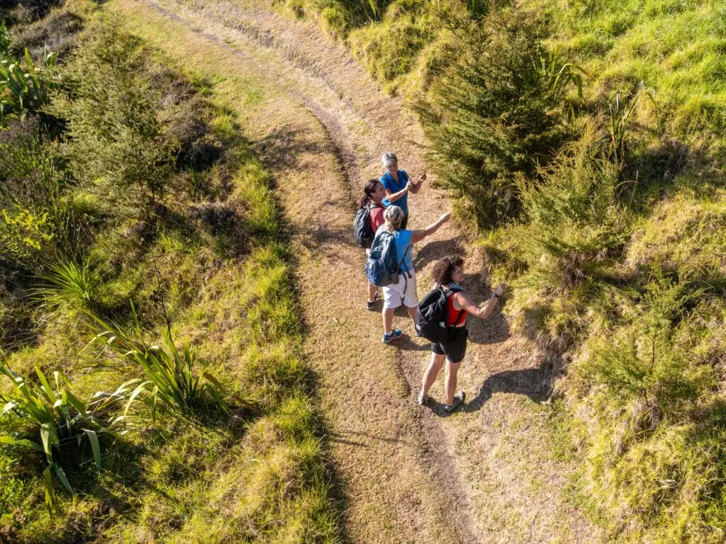 Walkers on the trail Matiatia, Terra & Tide Vineyards & Bush Walk