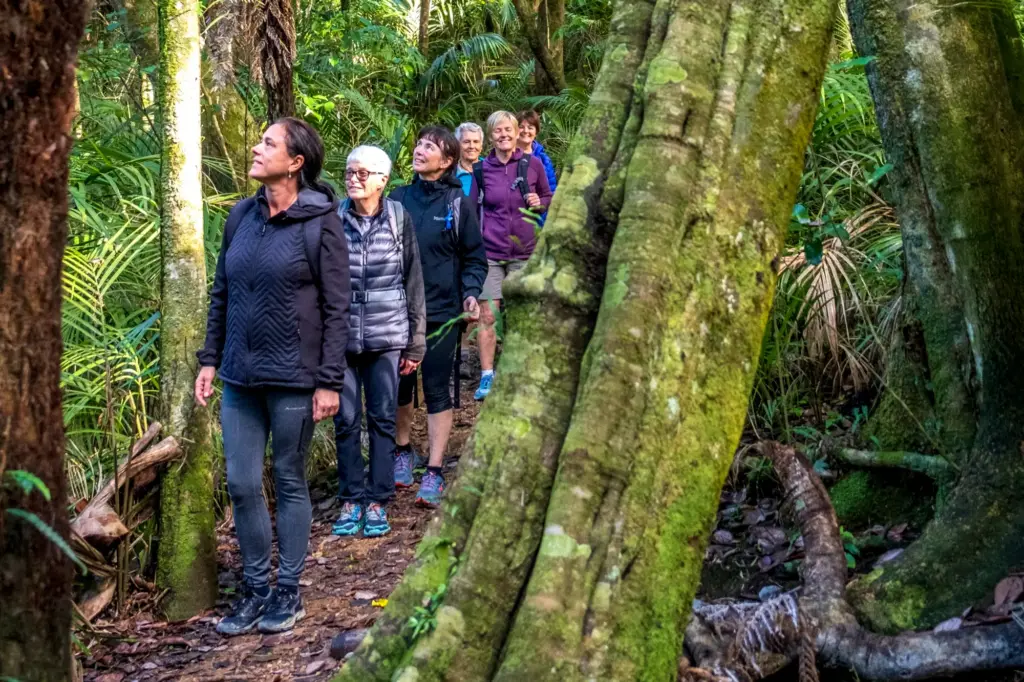 Walking 026A, Terra & Tide Private Forest Bathing Walk