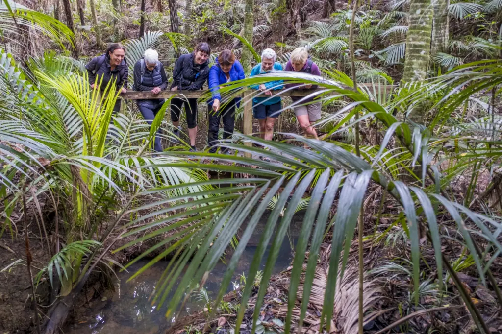 Walking in nature during a Terra & Tide wellbeing workshop with forest bathing