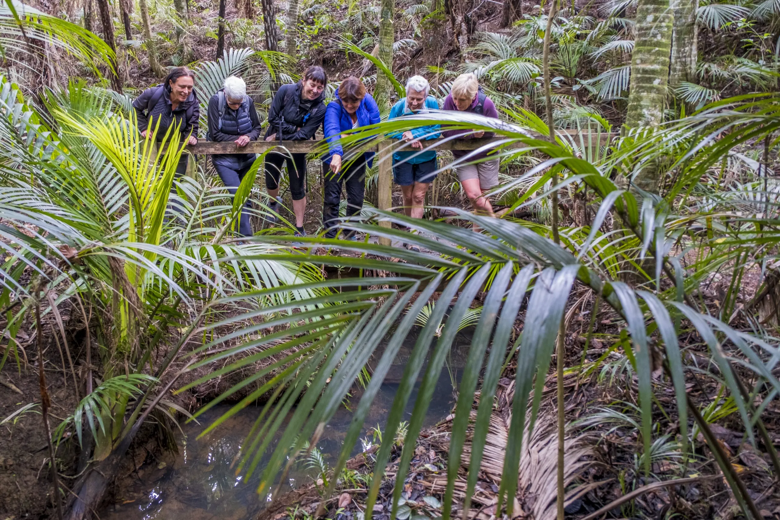 Walking in nature during a Terra & Tide wellbeing workshop with forest bathing