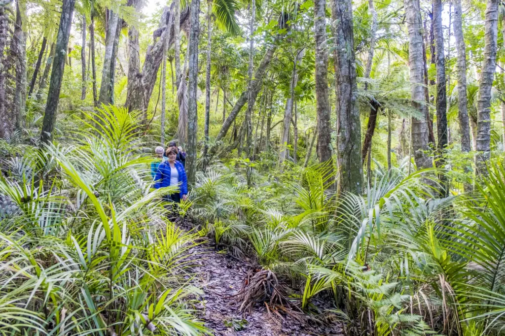 Walking, Terra & Tide Wellbeing Workshop – Forest Bathing