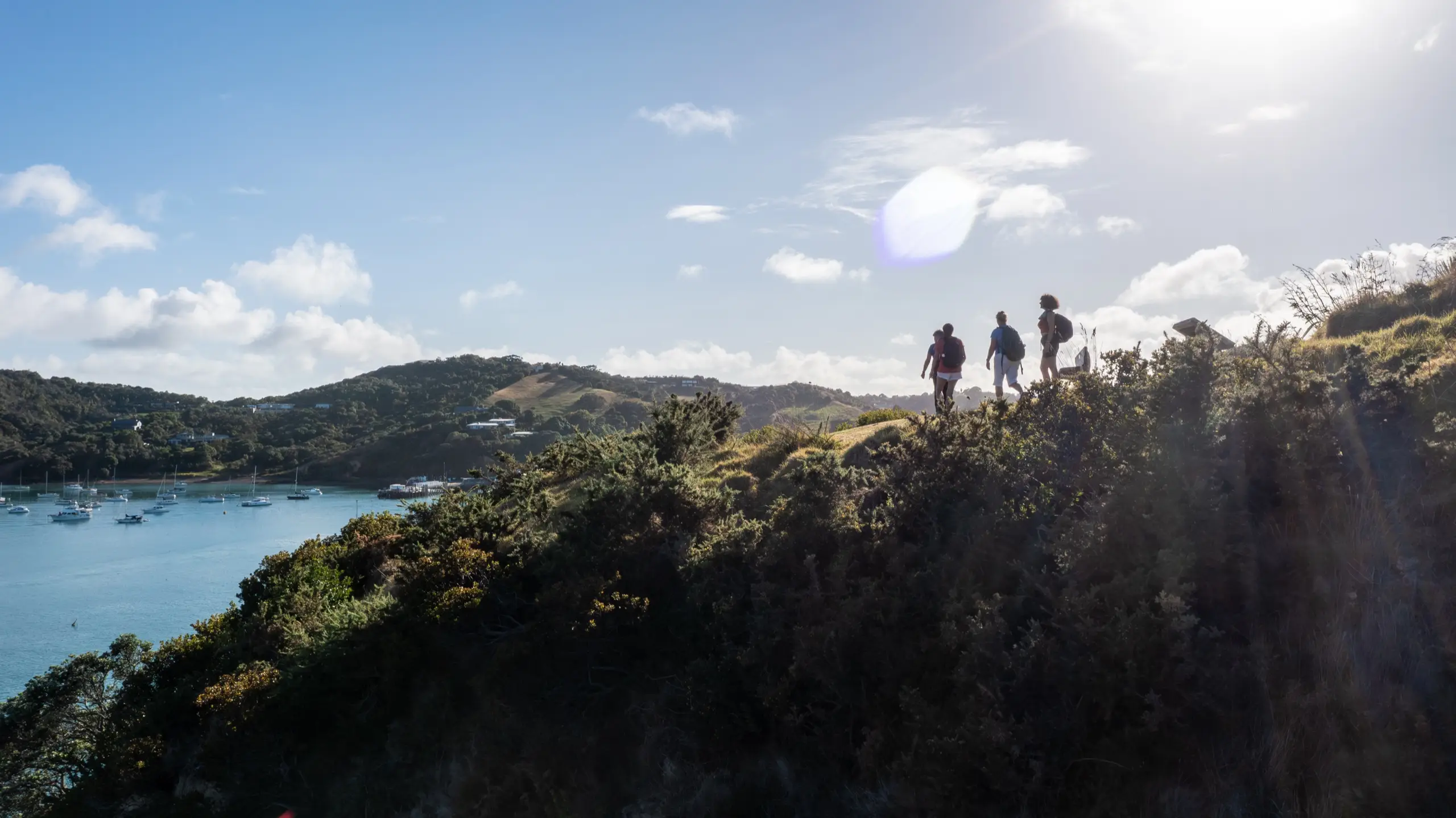 Walking at Matiatia on a guided holiday taking in the best walks on Waiheke with Terra & Tide