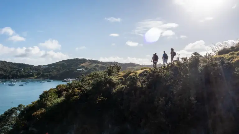 Walkers on the Matiatia headland track, Waiheke Island