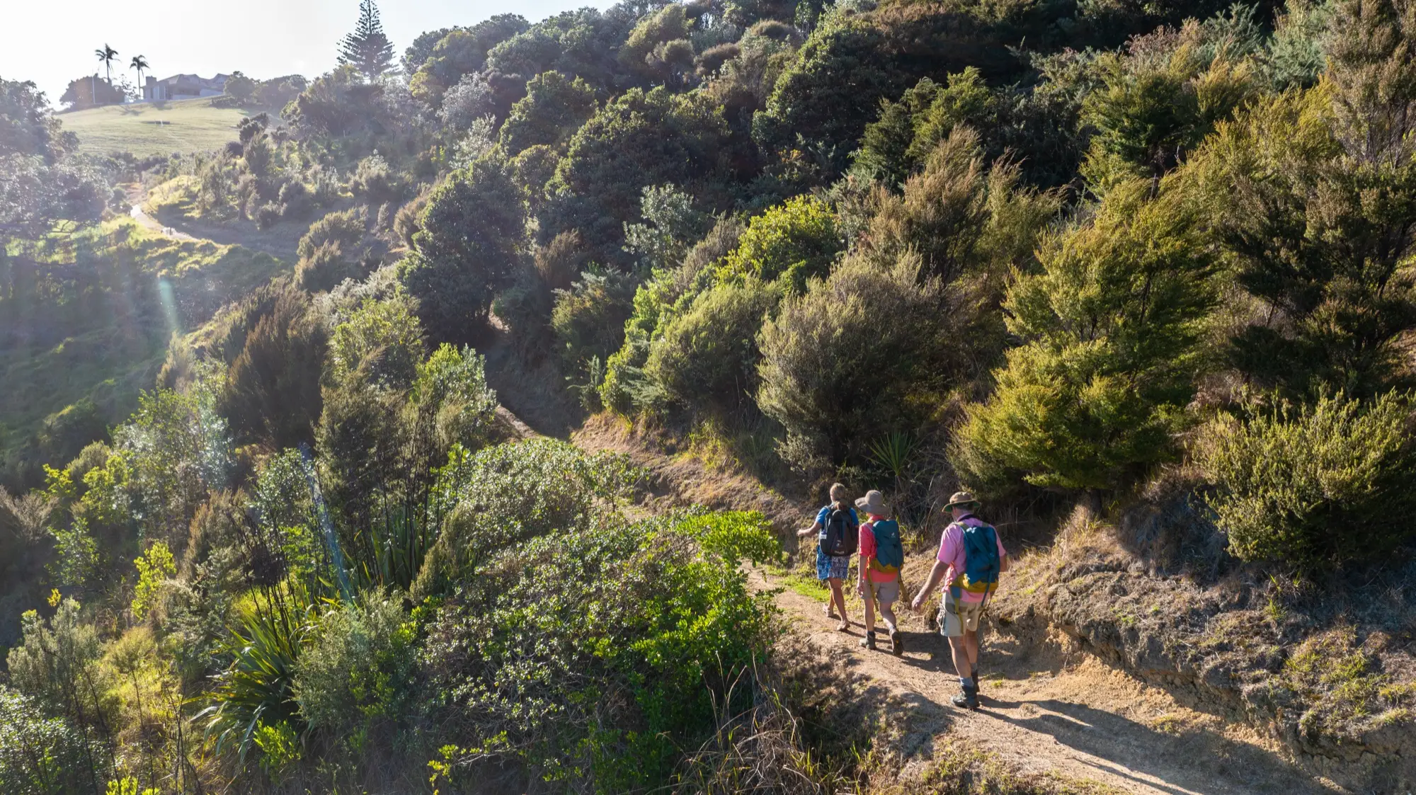 Walking the Matiatia headland, Terra & Tide Best of Waiheke Walking Tour