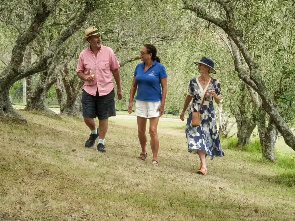 Walking through the Olive groves at Stonyridge, Terra & Tide Private Waiheke Signature Food & Wine Tour