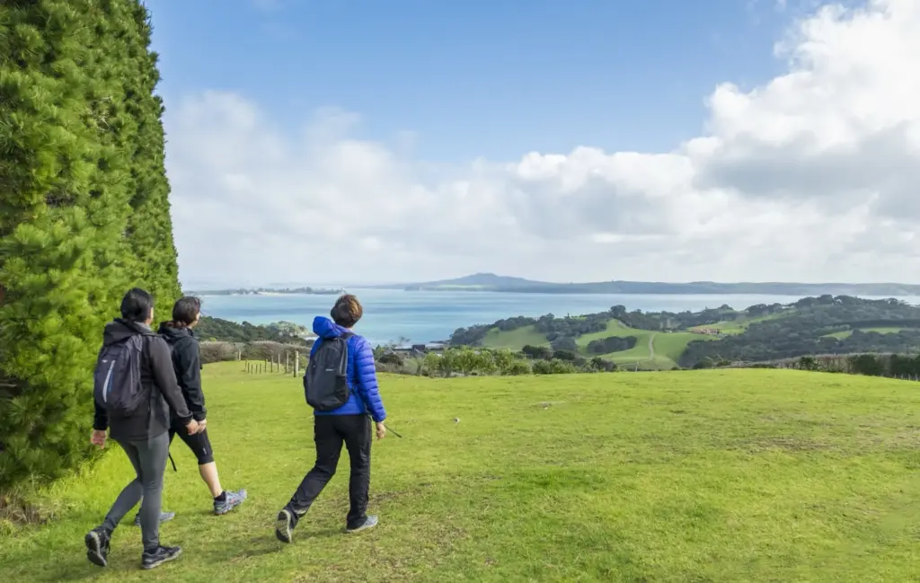 Walkers crossing farmland with views to Rangitoto, Waiheke Island