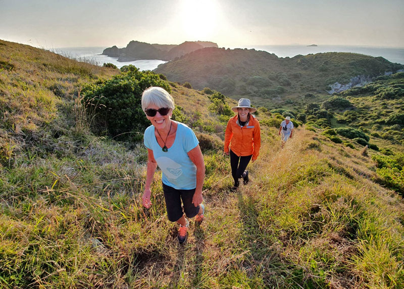 Walking with Terra and Tide