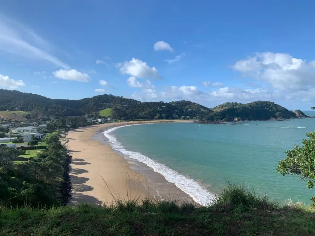 Wellingtons Bay Tutukaka coast, Terra & Tide Private Tutukaka Explorer Day Tour