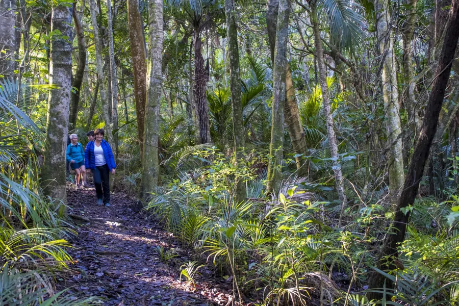 Wellbeing Workshop Includes Forest Therapy