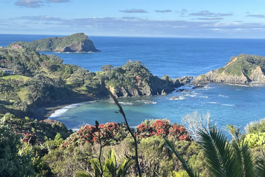 Coastal scenery, Tutukaka, Northland NZ